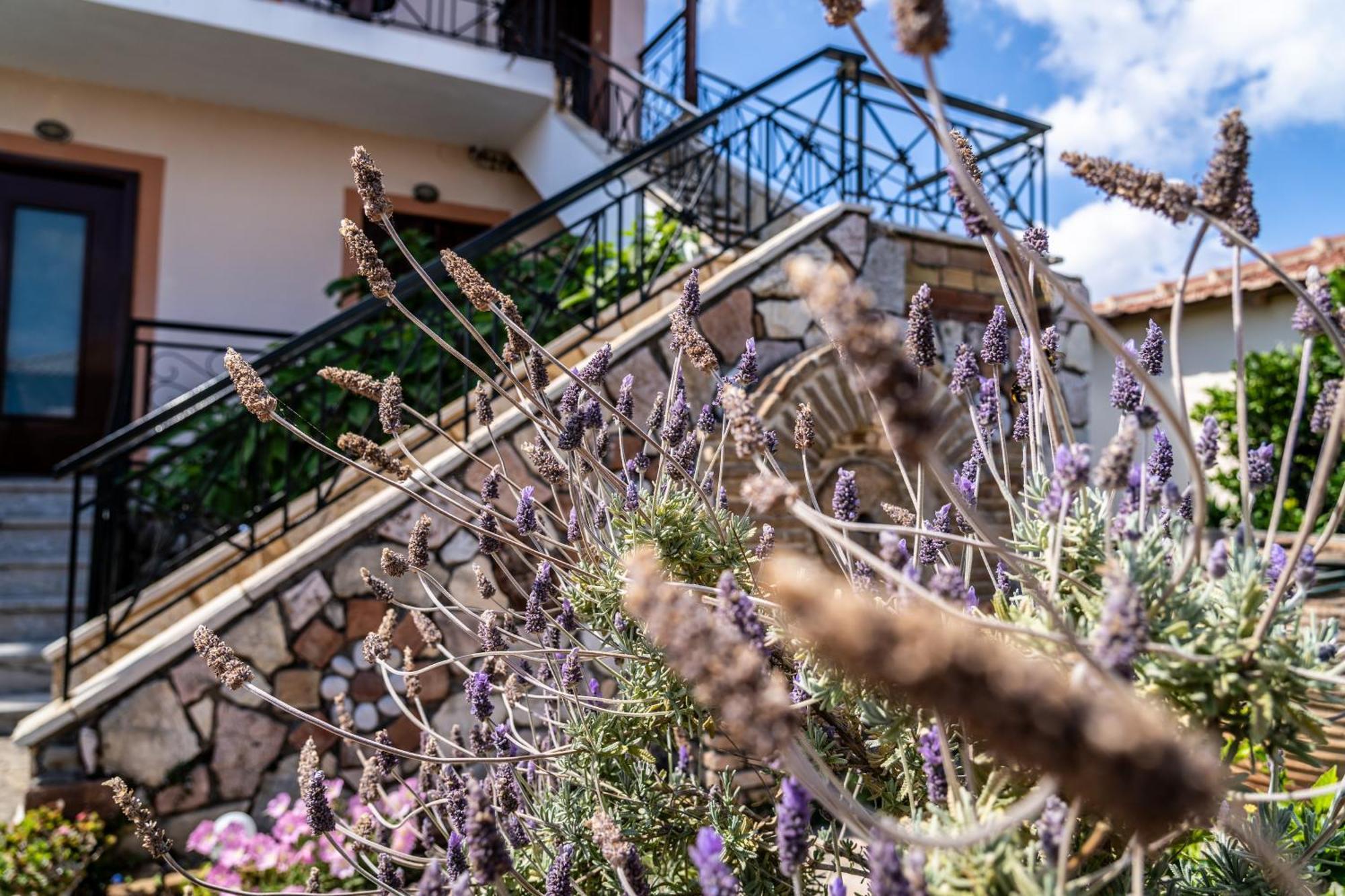 Koroni Family House With The Best View 84 Sqm Εξωτερικό φωτογραφία